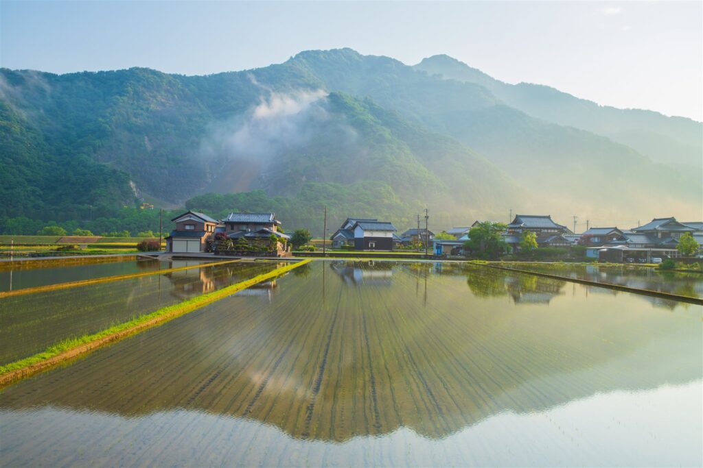 福井県永平寺町の水田と家並み