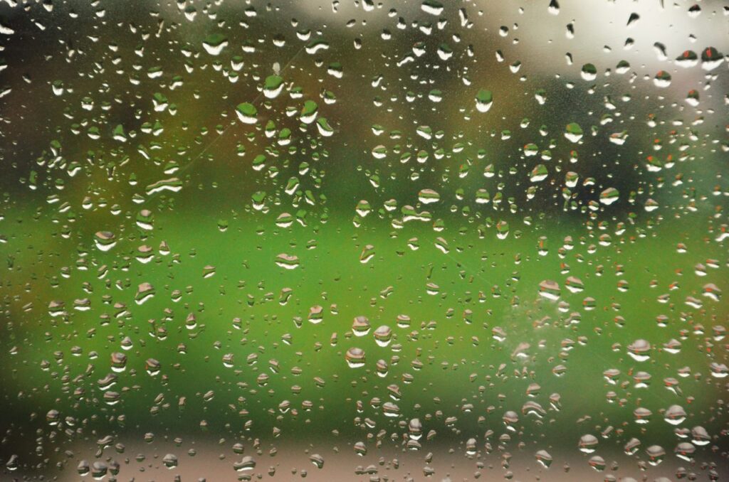 雨粒の付いた窓と庭の緑