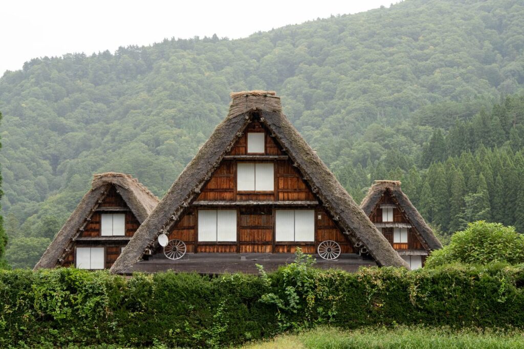 緑に囲まれた合掌造りの家