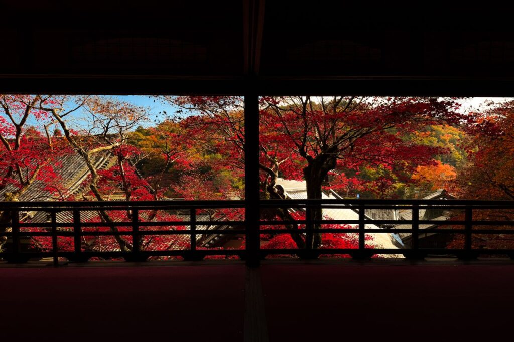 縁側の向こうに広がる紅葉と屋根