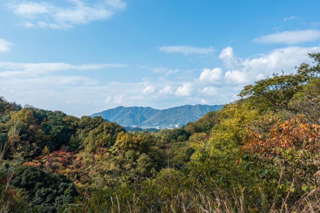 色づき始めた山と遠くの町並み