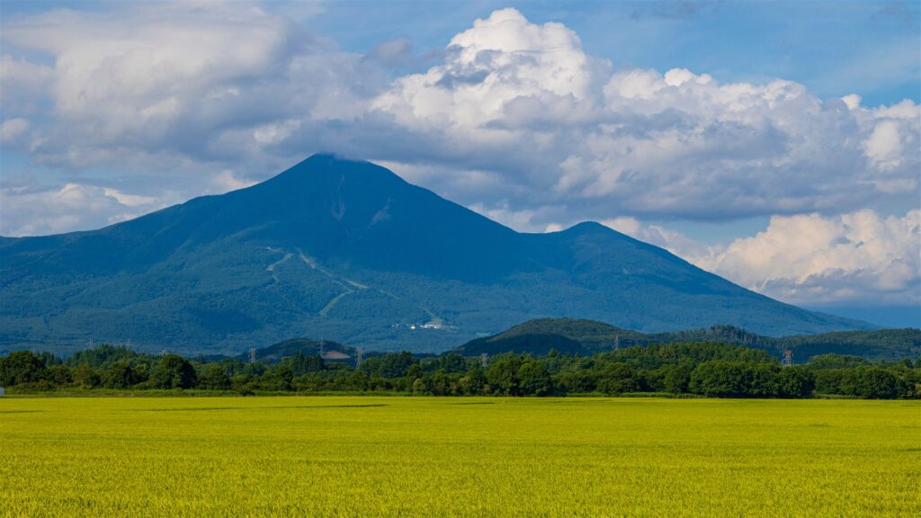 夏の水田の向こうにそびえる福島県の磐梯山