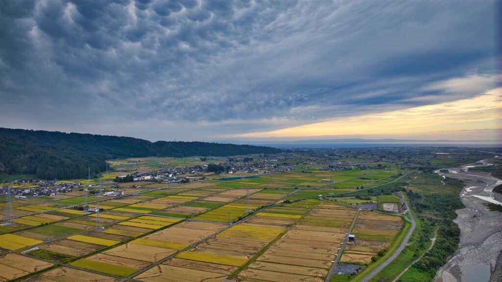 富山県の黒部川扇状地に広がる田園と集落