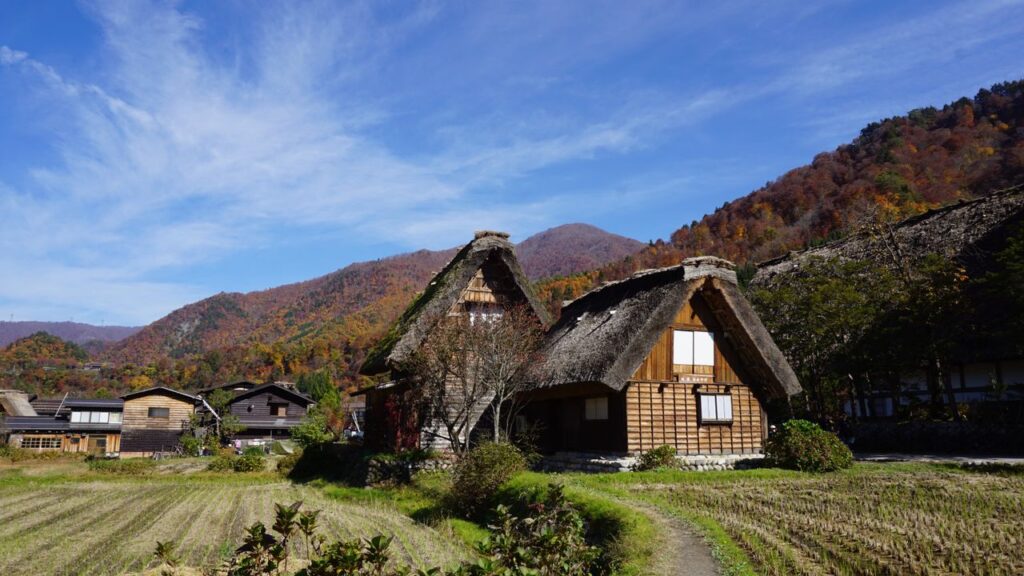 紅葉の山と茅葺き屋根の家