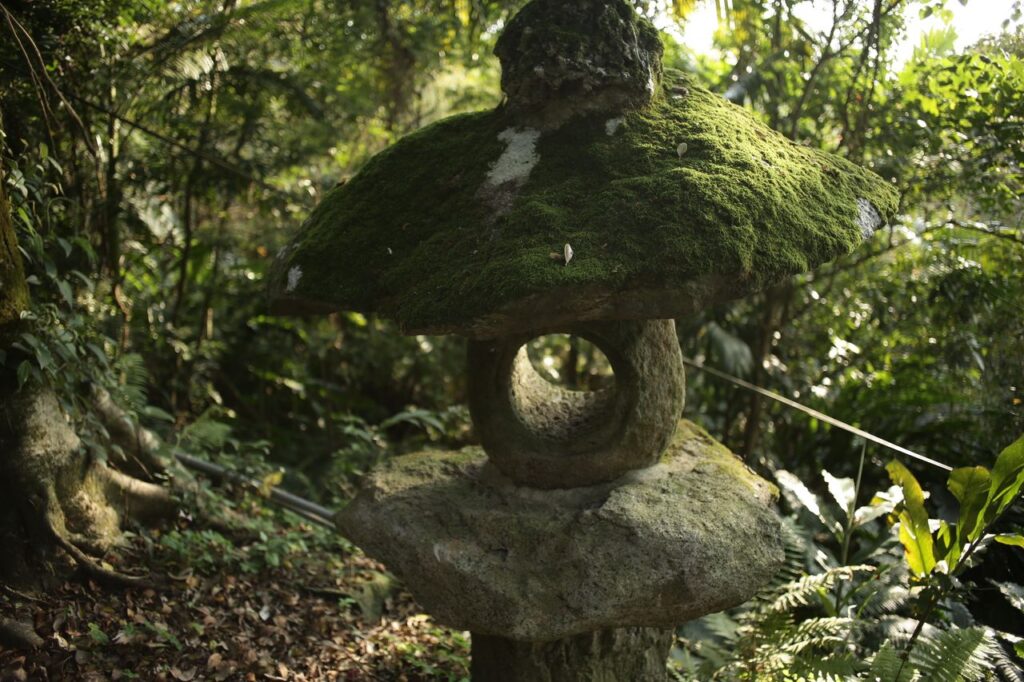 林の中の苔むした石灯籠