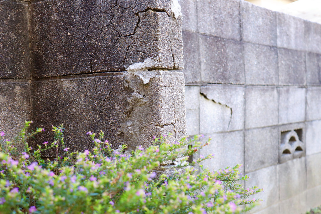 ひび割れたブロック塀と手前に咲く小さな花